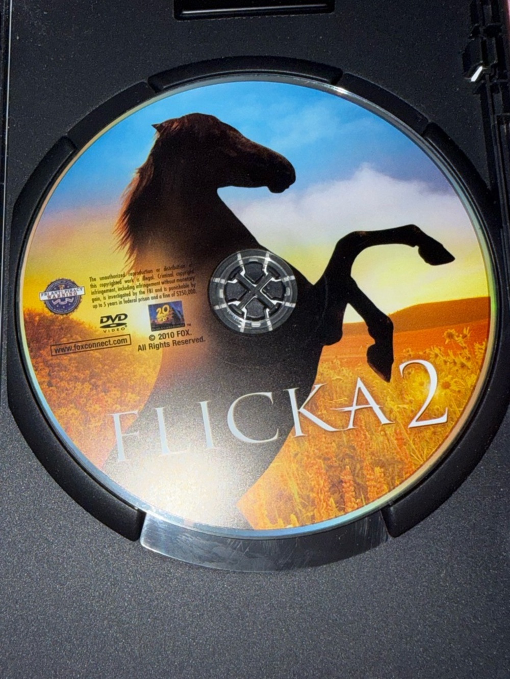 Flicka 2 DVD - Picture 3 of 4